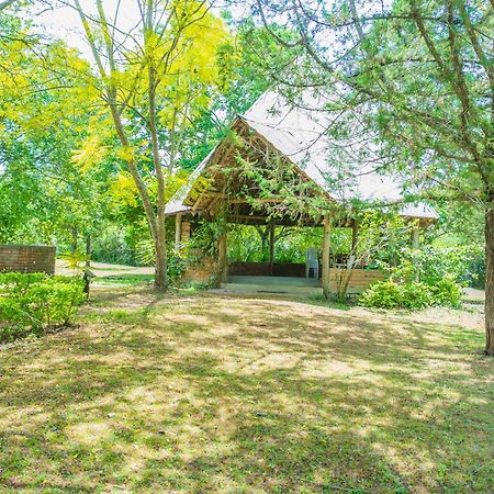 Meru Mbega Lodge Usa River Exterior photo