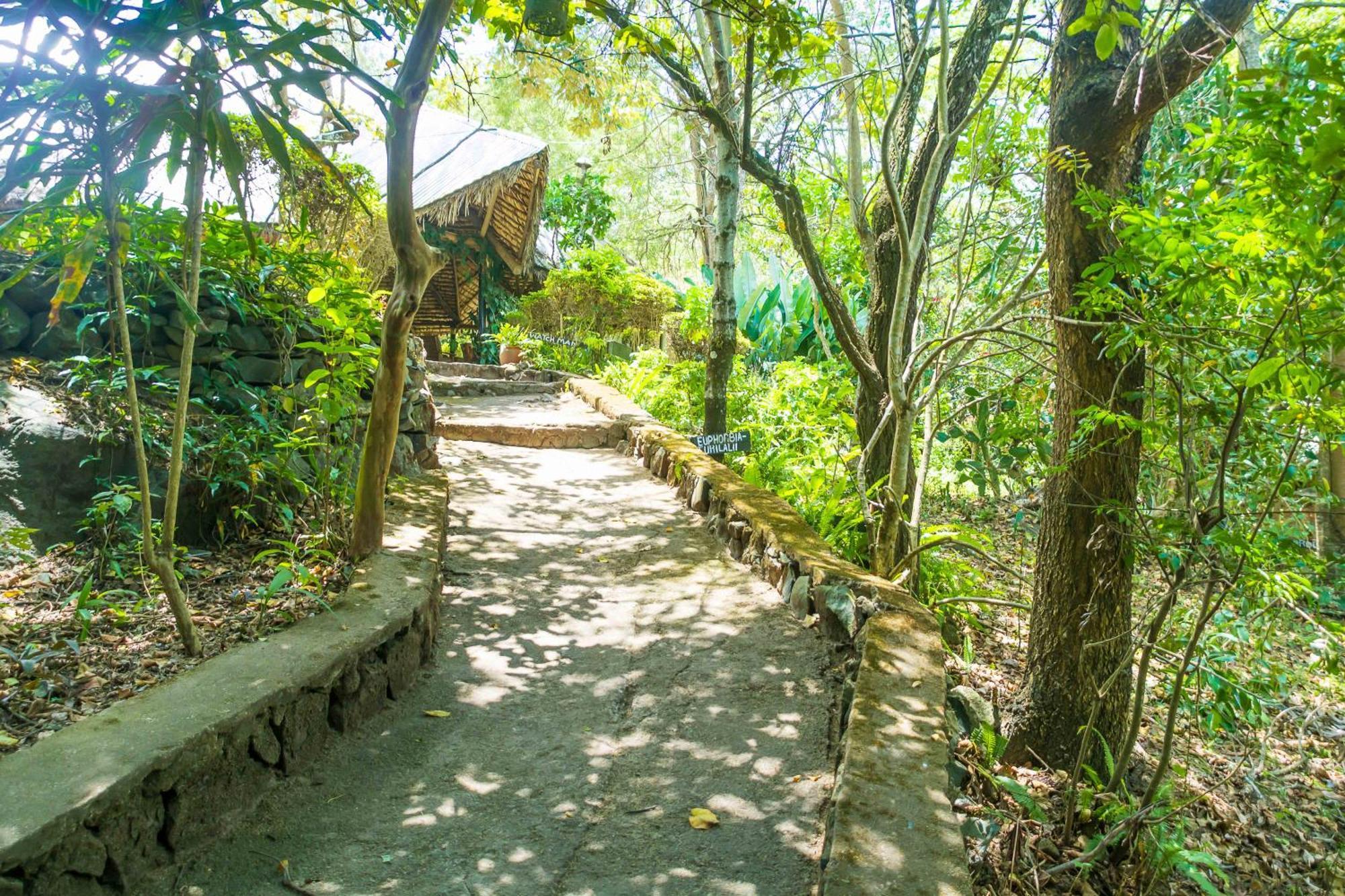 Meru Mbega Lodge Usa River Exterior photo