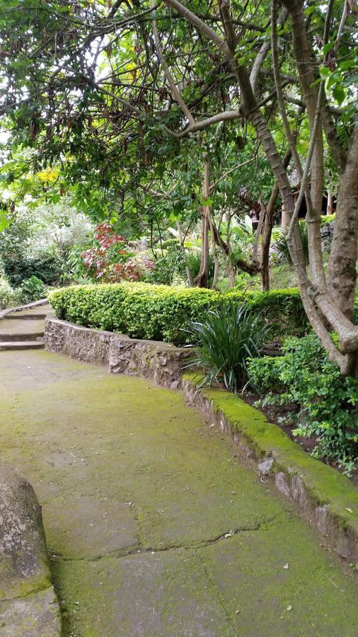 Meru Mbega Lodge Usa River Exterior photo